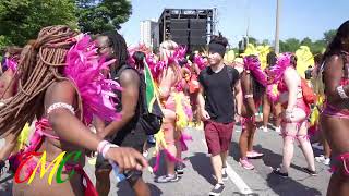 2019 CARIBANA 8 [upl. by Narcis97]