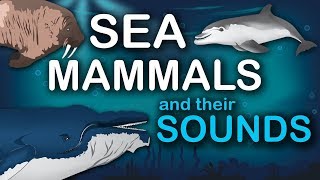 Sea Mammals and their Sounds [upl. by Neerom]