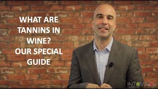 What Are Tannins in Wine Our Special Guide [upl. by Allemap977]