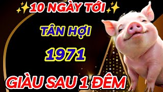 SỰ THẬT BẤT NGỜ 10 NGÀY TỚI  TÂN HỢI 1971 ĐẾN THỜI VƯỢNG PHÁT  GIÀU CHỈ SAU 1 ĐÊM  GIÀU CÀNG GIÀU [upl. by Sayce381]