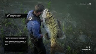 Red Dead Redemption 2  PS4  Stranger Mission 24  A Fisher of Fish Legendary Fish [upl. by Andryc]