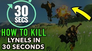 How to Beat a Lynel in 30 Seconds or Less in Zelda Breath of The Wild [upl. by Udall]