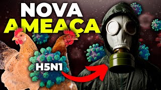 O QUE ESTÁ POR TRÁS DA NOVA GRIPE AVIÁRIA H5N1 [upl. by Elehcir799]