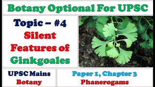 Silent Features of Ginkgoales General Characters of Ginko biloba UPSC Botany Optional Lectures [upl. by Ydnyc537]