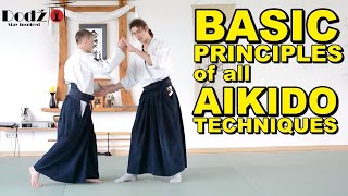 Aikido Principles You MUST Know [upl. by Hoxie]