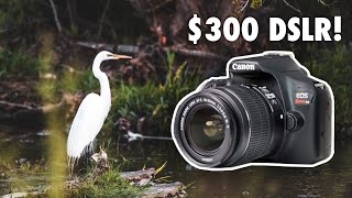 Is The Cheapest DSLR from Amazon Worth It Canon T6 Review [upl. by Noitsirhc]