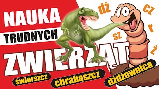 Nauka Wymowy Trudnych SłówZwierząt dla Dzieci Tyranozaur Dżdżownica Dromaderłamańce językowe [upl. by Slater]