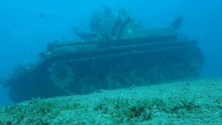 Jordanien Akaba schnorcheln Panzer Tala Bay  Jordan Aqaba snorkeling Tank 5 m deep [upl. by Sueahccaz310]