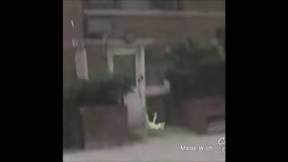 Kermit the frog jumps off building [upl. by Ettenan]