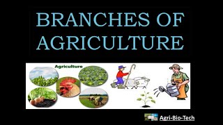 branches of agriculture  main branch of agriculture  branches and introduction of agriculture [upl. by Atikihs]