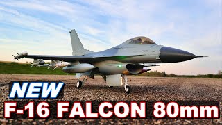 NEW RC JET WARBIRD Eflite F16 Falcon 80mm EDF Smart Jet  TheRcSaylors [upl. by Stirling768]