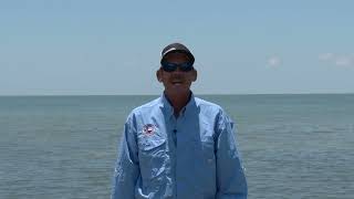 Texas Fishing Tips Fishing Report 8824 Port Aransas Area With Capt Monte Graham [upl. by Wey]