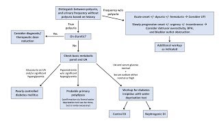 An Approach to Polyuria [upl. by Berardo]