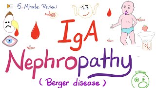 IgA Nephropathy Berger’s Disease  Nephrology 🩸 [upl. by Desirea]