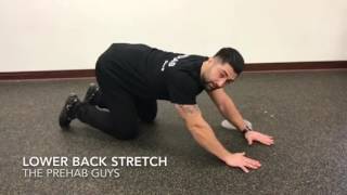 Childs pose low back stretch [upl. by Asiaj]