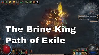 The Brine King Boss Guide Path of Exile [upl. by Mckee]