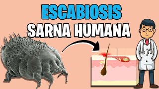 SARNA HUMANA  ESCABIOSIS sintomas TRATAMIENTO 2023  Sarcoptes Scabiei ✅ [upl. by Worsham]