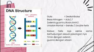 Struktur asam nukleotida dan nukleosida [upl. by Randal235]