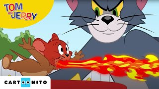 Tom și Jerry  Valul de căldură  Cartoonito [upl. by Enyrehtak170]