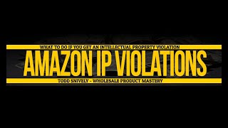 Todd Snively from Expert University Explains Amazon Intellectual Property Violation IP Infringement [upl. by Lyon]