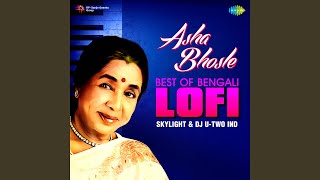 Moyna Balo Tumi  Asha Bhosle  Lofi [upl. by Fisoi]