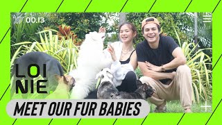 Meet Our Fur Babies  Loinie TV [upl. by Trilby]