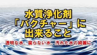 水質浄化材 きれいな水 汚水 除去 土壌改良 微生物 [upl. by Llennyl]