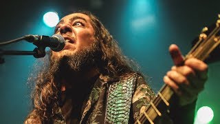 Daron Malakian and Scars on Broadway  Animal NEW SONG  2019 [upl. by Wyn]