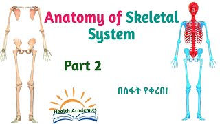 Anatomy of Cardiovascular System Circulatory System Part 2 Helpful Video with Amharic Speech [upl. by Yeliab]