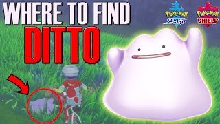 Where to find Ditto in Pokemon Sword amp Shield  Ditto Location [upl. by Bedad228]