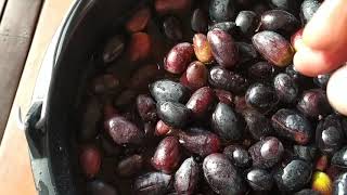 Classic home made organic kalamata olives [upl. by Neall]