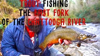 Trout Fishing South Carolinas East Fork Chattooga River [upl. by Robers]