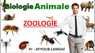 zoologie biologie animale [upl. by Norine]