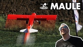 EFlite Maule M7  Up close and personal [upl. by Queena]