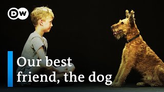 Dogs amp us  The secrets of an unbreakable friendship  DW Documentary [upl. by Ailekahs]