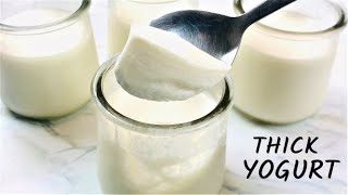 THICK YOGURT  Easy Homemade Thick Yogurt with NO SUGAR [upl. by Eseeryt]