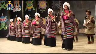 Ngari Lhasa Tamo Tibetan Dance [upl. by Milli]