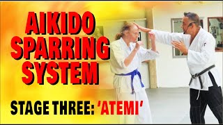 Aikido Sparring System  Stage Three ATEMI  Scaleable for all abilities [upl. by Irme591]