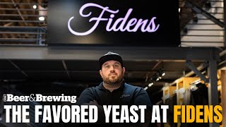 The Favored Yeast at Fidens and Why They Love It for Hazy IPA  Brewing Tip [upl. by Bobinette927]