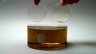 Aculon Oleophobic CoatingLenses Dipped in Oil [upl. by Vogele701]