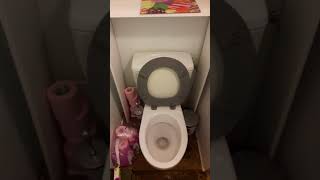 Problème découlement des eaux usées dans les toilettes [upl. by Atikat490]