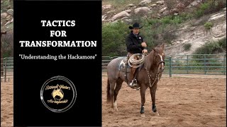 Understanding the Hackamore by Richard Winters amp Weaver Leather [upl. by Yorick]