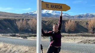 Potts Link Track  Te Araroa Trail Section Hike [upl. by Lenora]