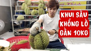 KHỦNG KHIẾP sầu riêng KHỔNG LỒ nhìn là choáng hết sức [upl. by Eittik430]