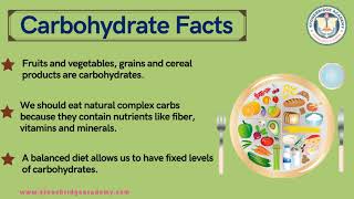 Carbohydrate Facts For Kids [upl. by Ellehctim133]