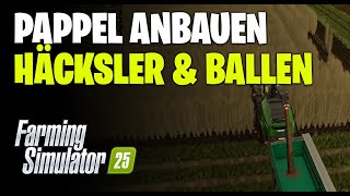 LS25 Pappel Anbauen und Ernten  Feldhäcksler oder Ballenpresse [upl. by Farr]