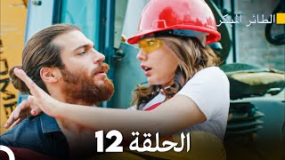 مسلسل الطائر المبكر الحلقة 12 Arabic Dubbed  FULL HD [upl. by Ynnatirb]