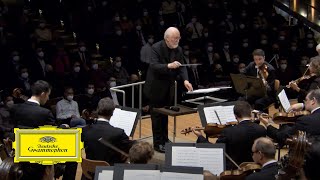 John Williams amp Berliner Philharmoniker – Hedwigs Theme [upl. by Oiramaj]