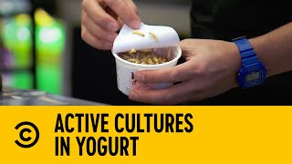 Active Cultures In Yogurt  The Carbonaro Effect  Comedy Central Africa [upl. by Oliric]