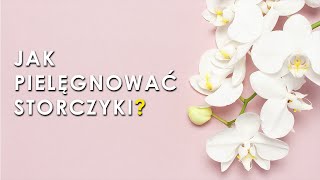 Pielęgnacja storczyków w domu [upl. by Latia259]